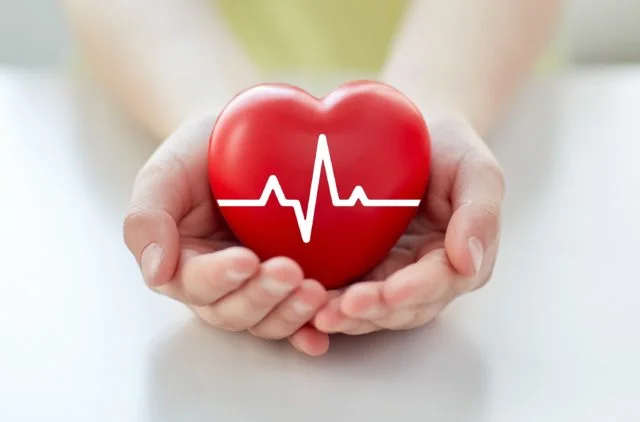 Cardiac and diabetic medicine manufacturing facility