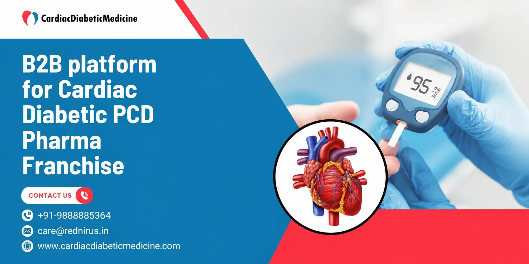 B2B platform for Cardiac Diabetic PCD Pharma Franchise